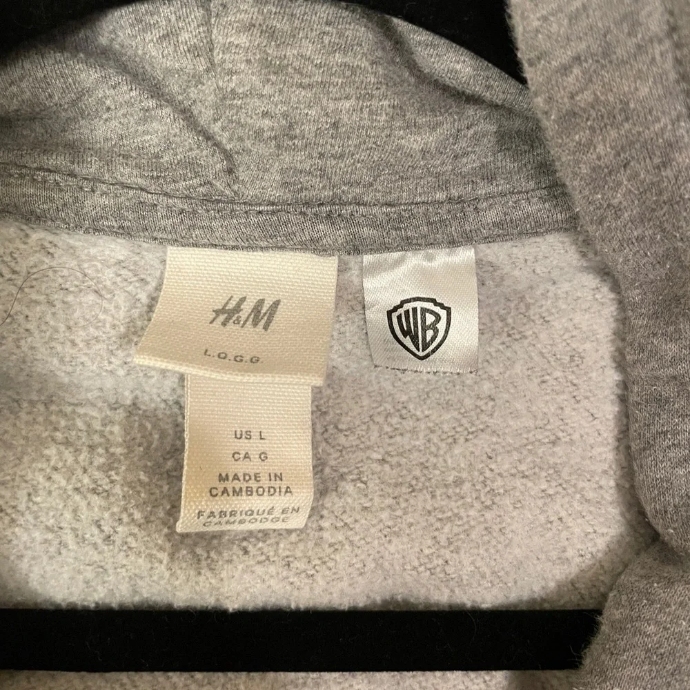 H&M Light Gray Warner Brothers FRIENDS embroidered Sweatshirt Hoodie Size L - Picture 10 of 11